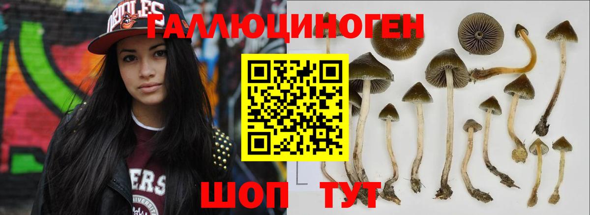 Псилоцибиновые грибы Magic Shrooms  Вход с VPN  цена   Мичуринск  Галлюциногенные грибы прущие грибы 